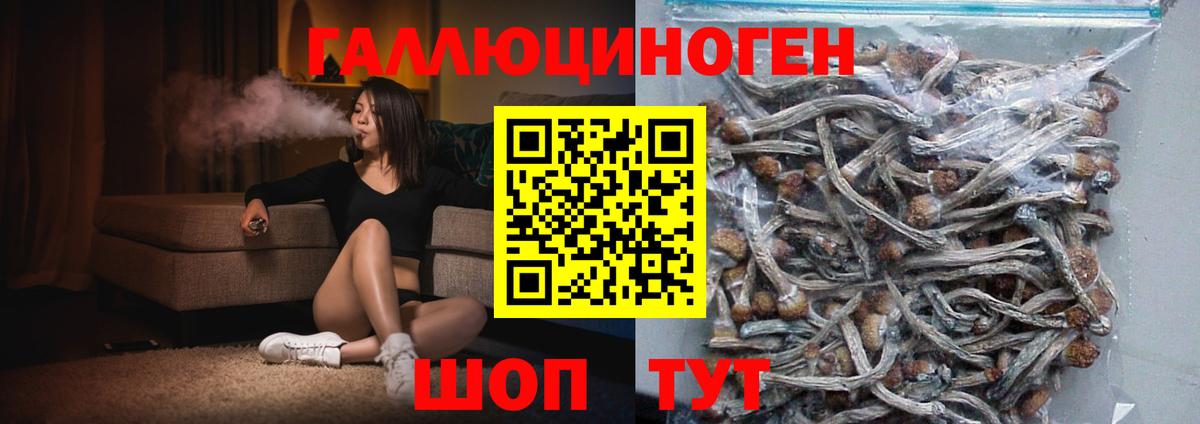 Галлюциногенные грибы Cubensis  Вход с VPN  где найти   Светлоград  Псилоцибиновые грибы Cubensis 